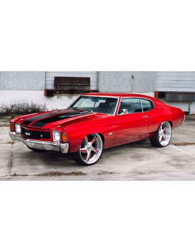 Candy Concentrate Universal Color Dye (vivid...