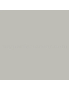 Scale model Paint Federal Standard 36492 Water Based 30ml